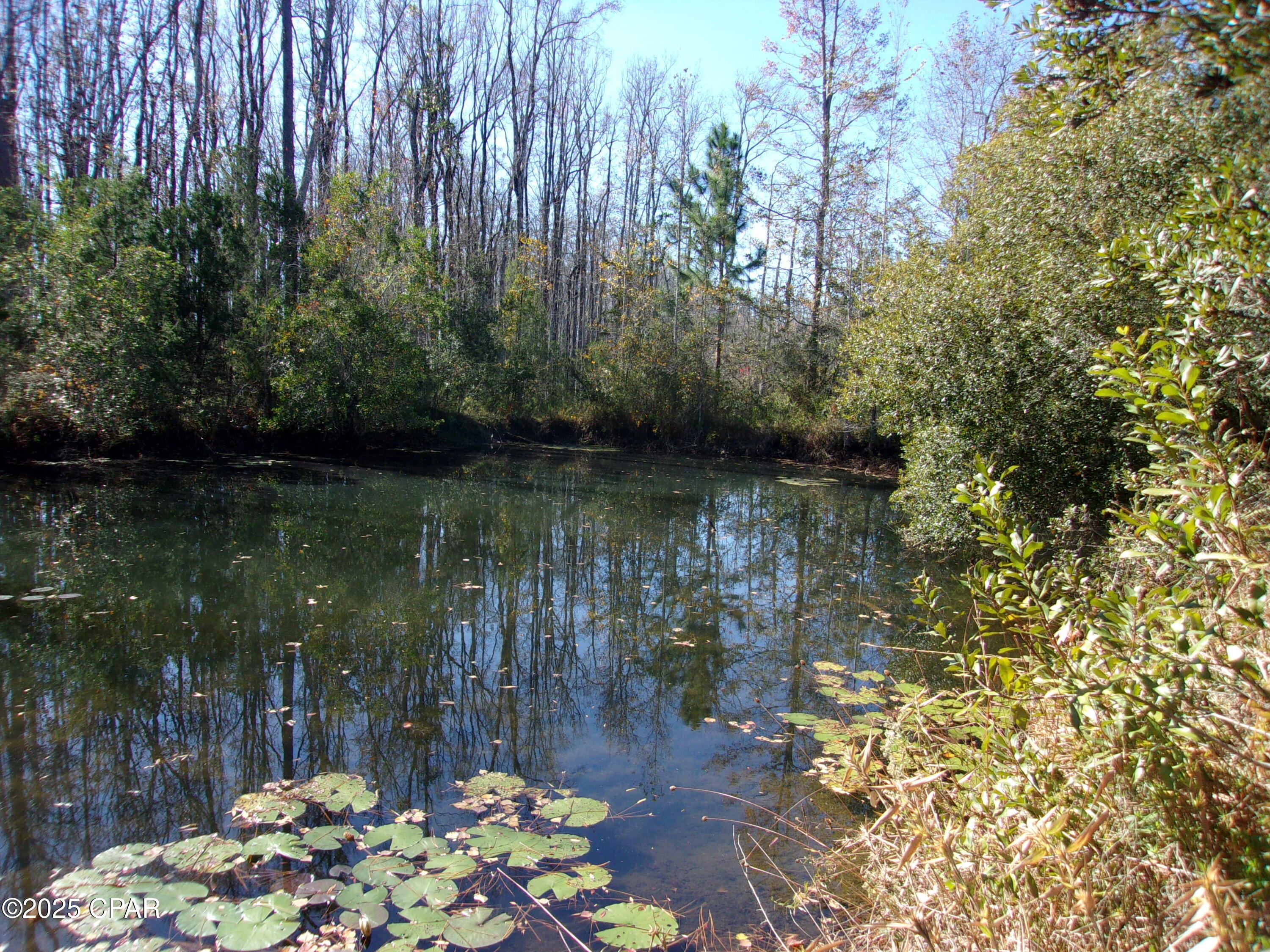 0 Windy Lewis Road Bonifay, FL 32425 - Photo 14 of 18