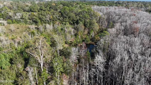 $49,900 | 0 Windy Lewis Road, Bonifay, FL 32425