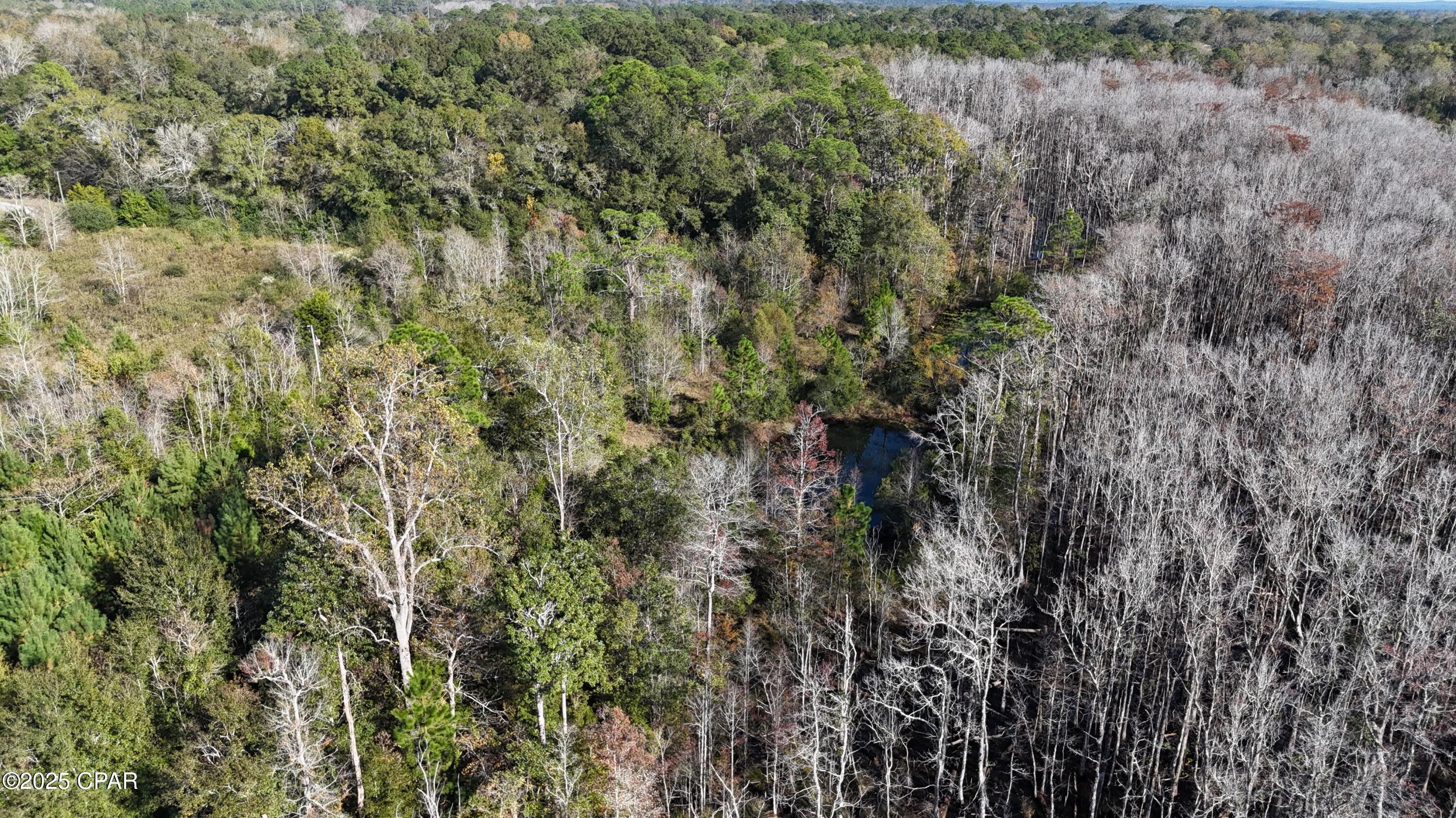0 Windy Lewis Road Bonifay, FL 32425 - Photo 17 of 18