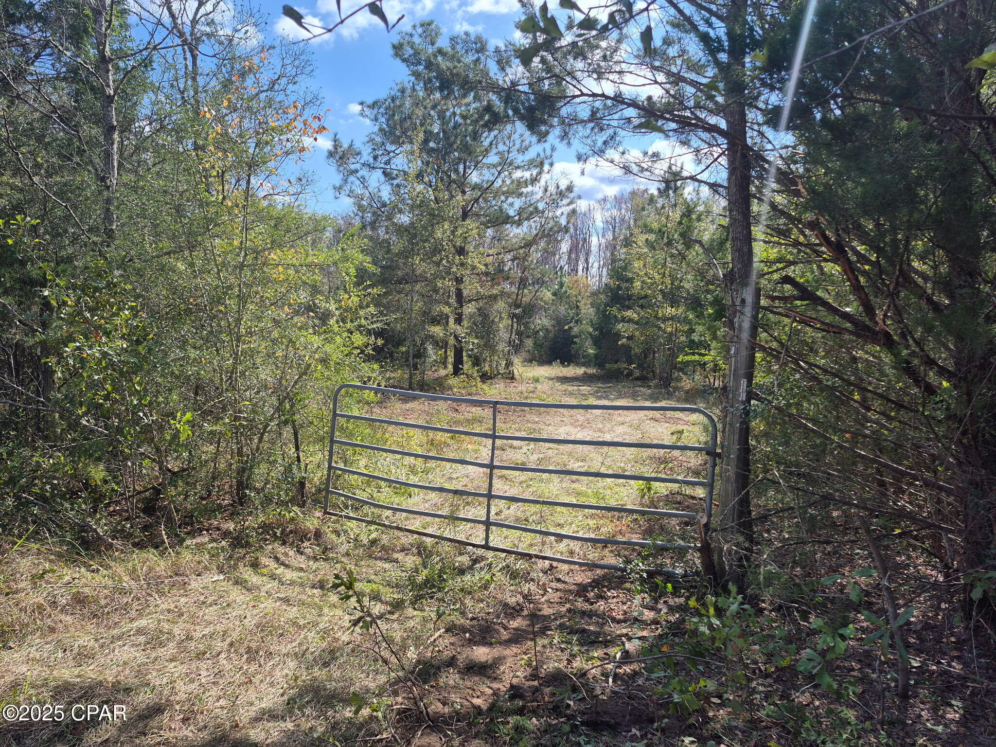 0 Windy Lewis Road Bonifay, FL 32425 - Photo 18 of 18