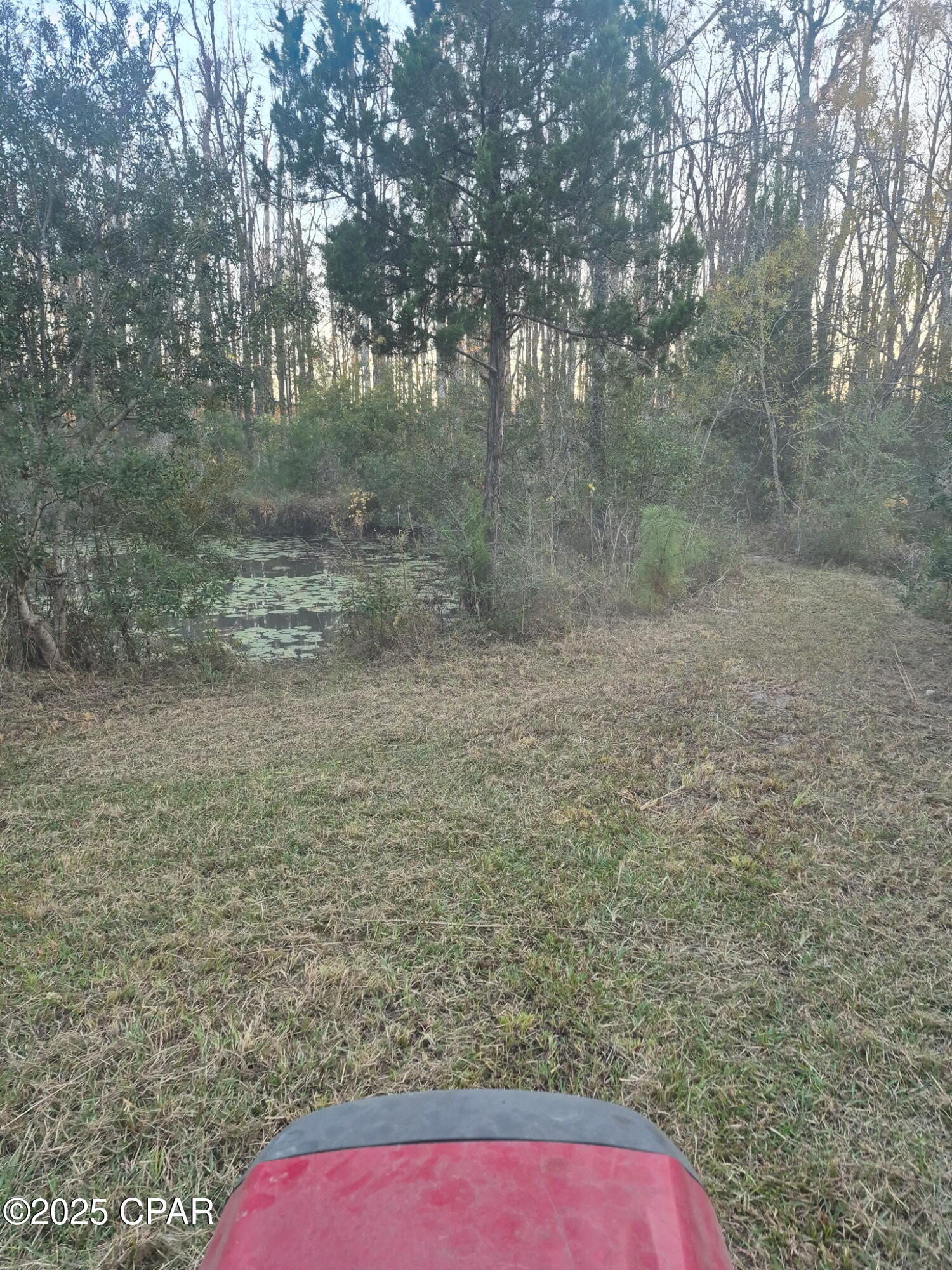 0 Windy Lewis Road Bonifay, FL 32425 - Photo 4 of 18