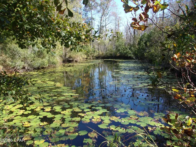 $49,900 | 0 Windy Lewis Road, Bonifay, FL 32425