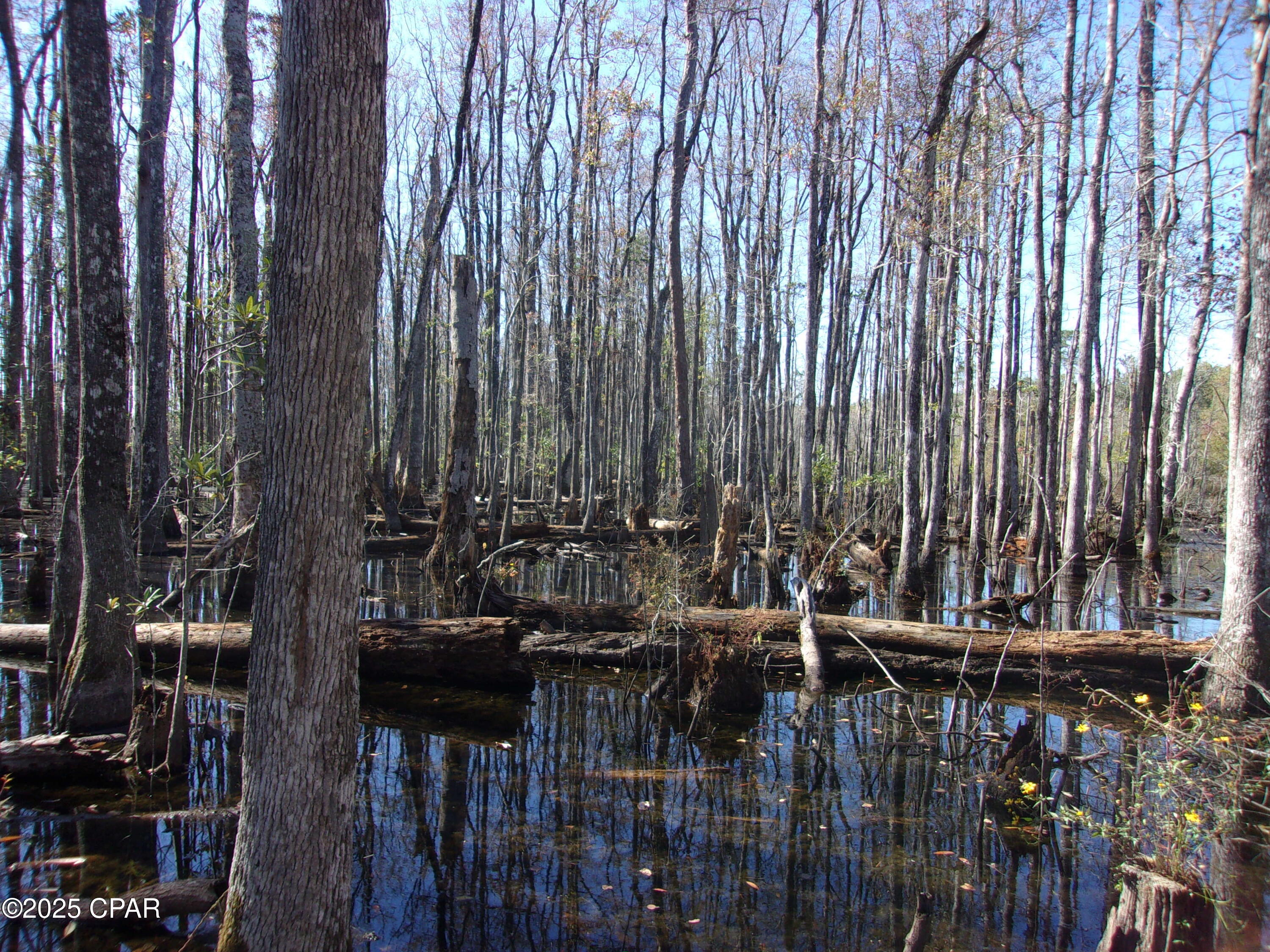 0 Windy Lewis Road Bonifay, FL 32425 - Photo 6 of 18