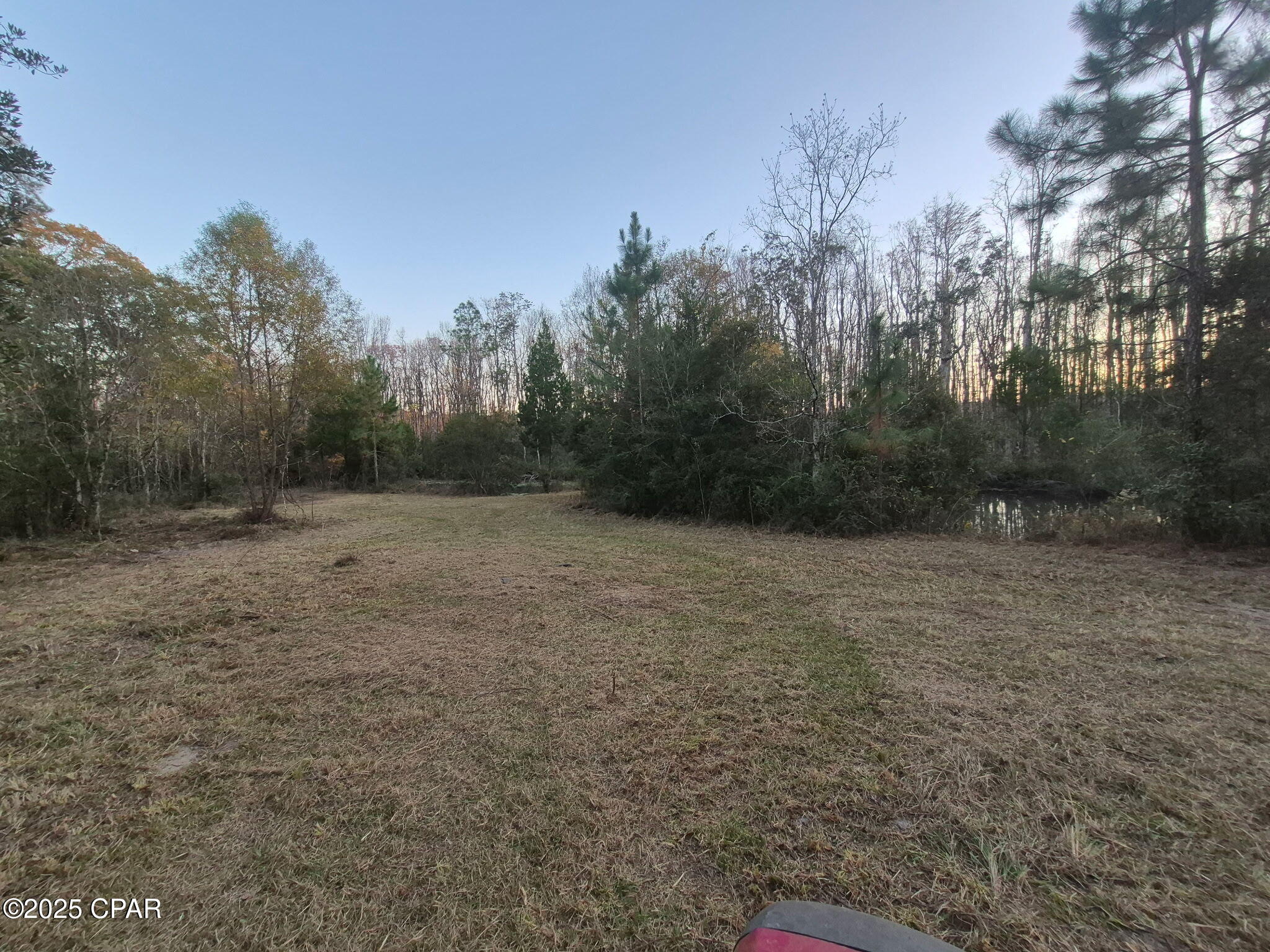 0 Windy Lewis Road Bonifay, FL 32425 - Photo 7 of 18