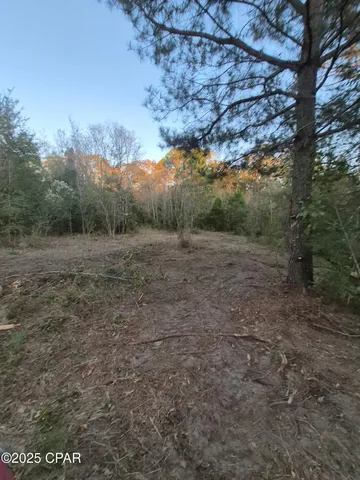 $49,900 | 0 Windy Lewis Road, Bonifay, FL 32425