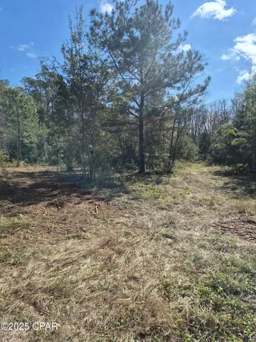 $49,900 | 0 Windy Lewis Road, Bonifay, FL 32425