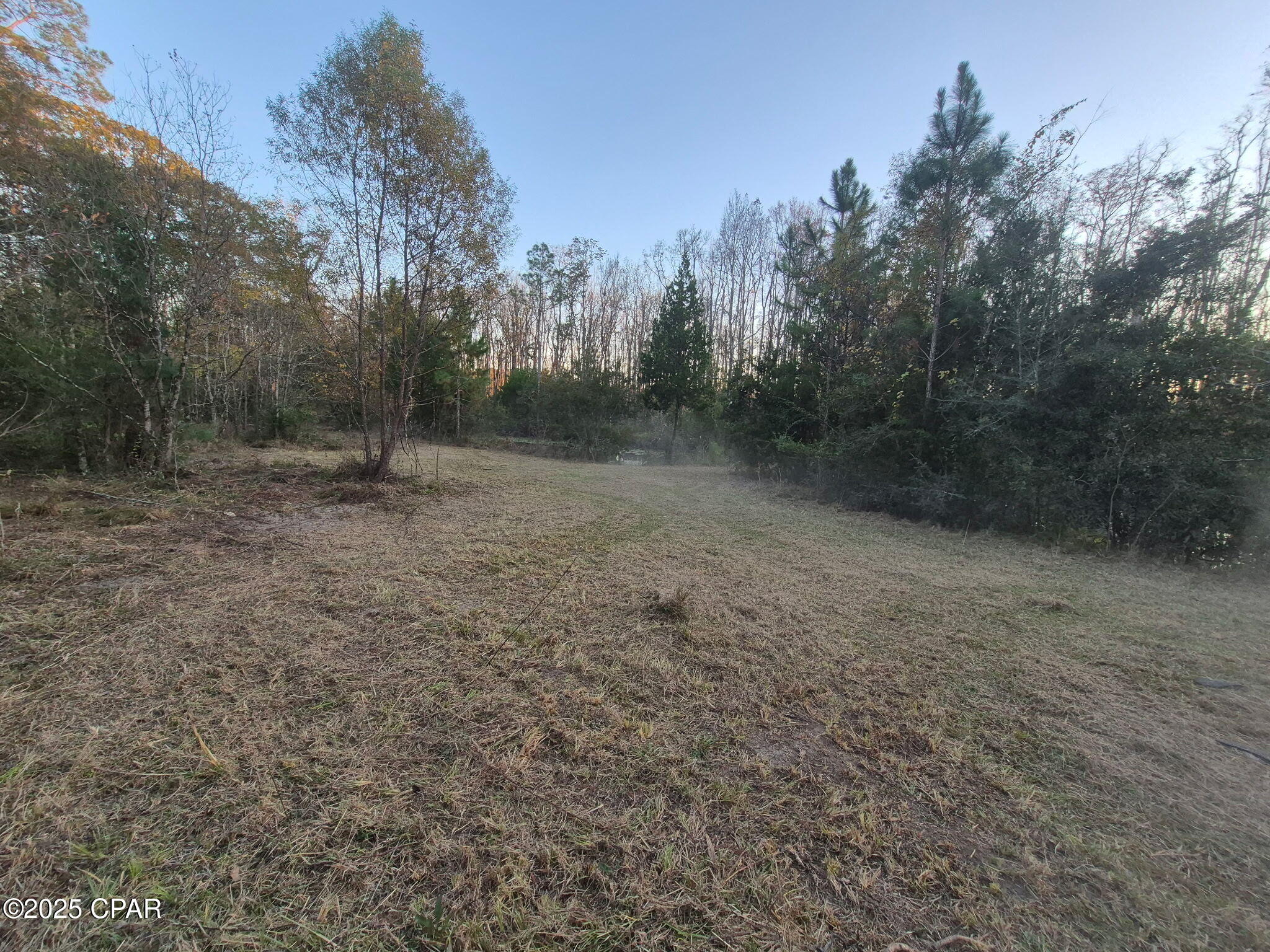 0 Windy Lewis Road Bonifay, FL 32425 - Photo 10 of 18