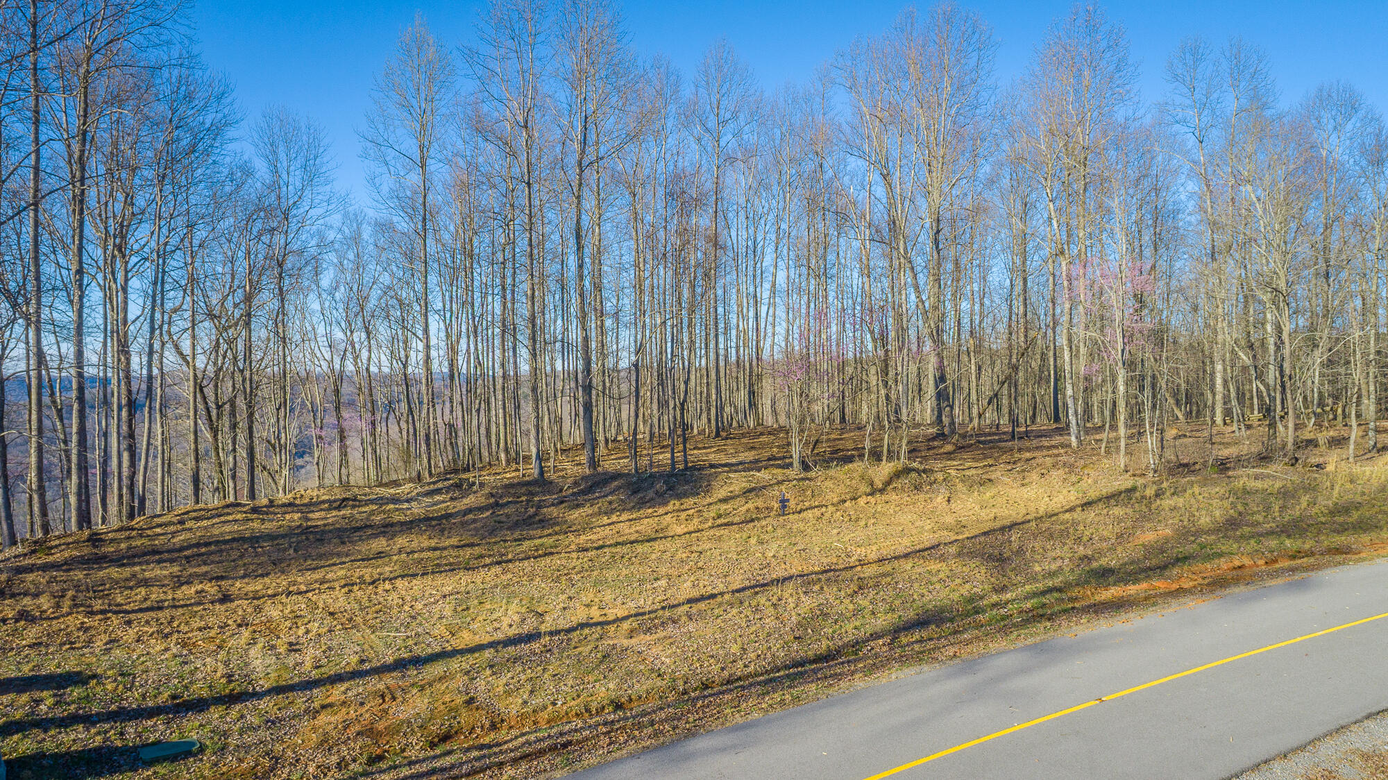 0 Cherokee Path, Unit JF269 Jasper, TN 37347 - Photo 68 of 94 0 Cherokee Path - JF269 HD-67