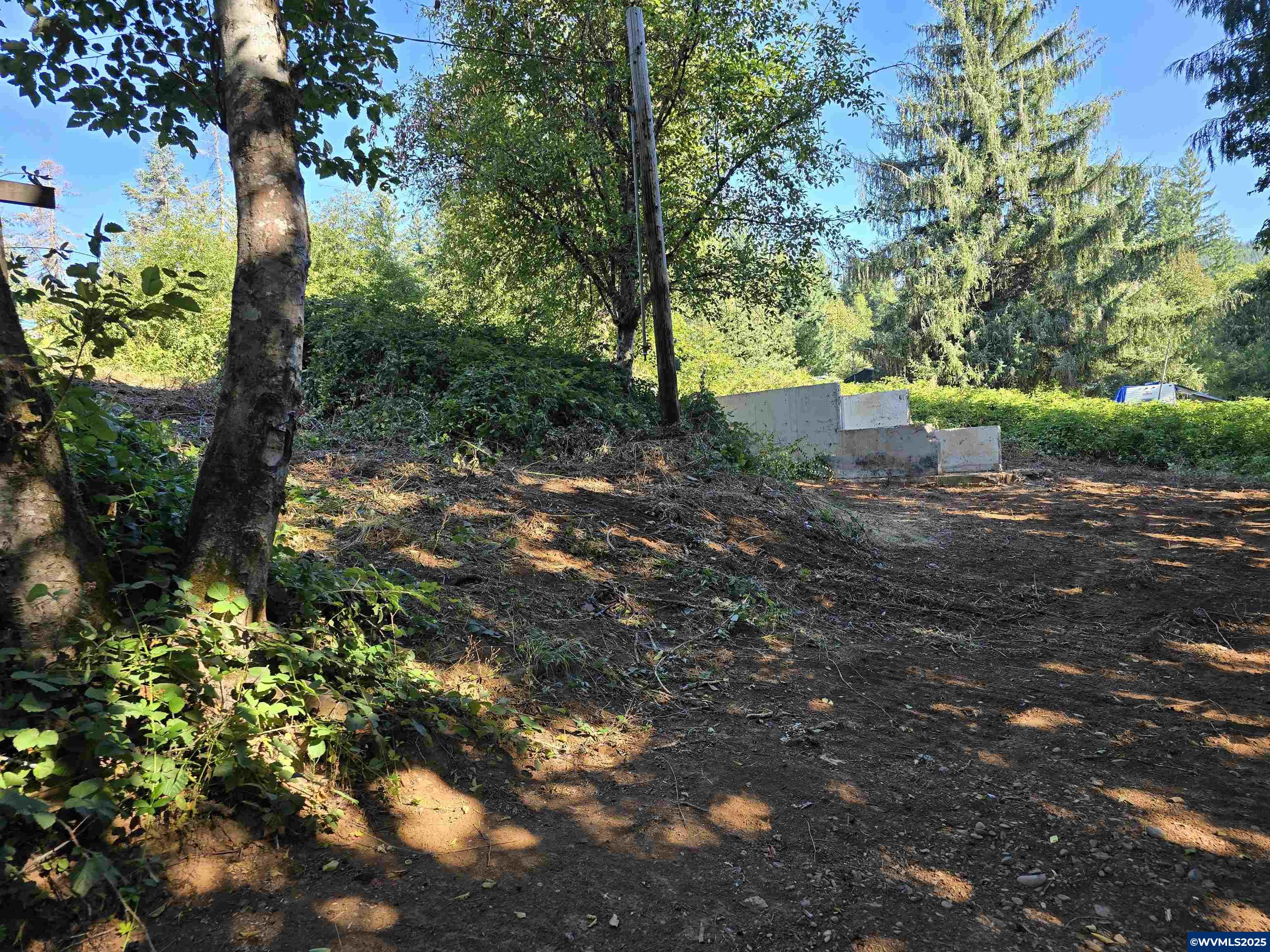 High Deck (tl800) Road Cascadia, OR 97329 - Photo 5 of 10