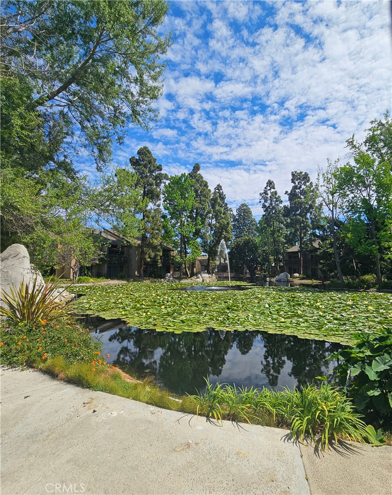 7890 East Spring Street Long Beach, CA 90815 - Photo 7 of 8 a view of a lake with a park