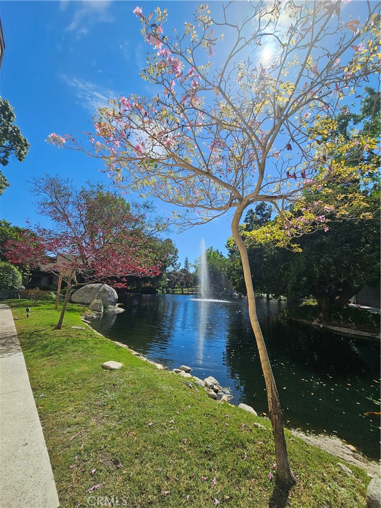 7890 East Spring Street Long Beach, CA 90815 - Photo 8 of 8 a view of a lake with a floor