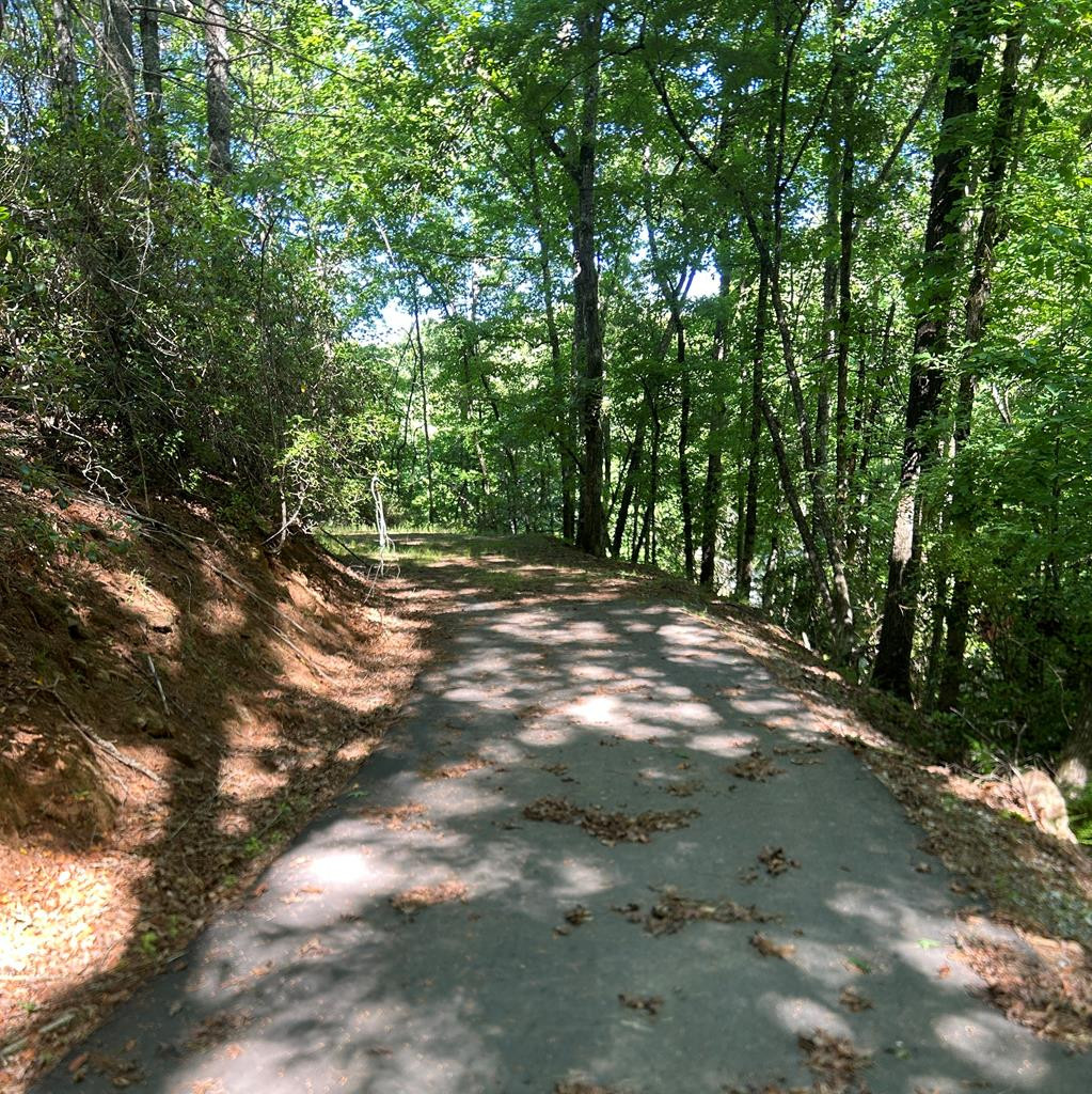 Lot 38 River Ridge Murphy, NC 28906 - Photo 16 of 16
