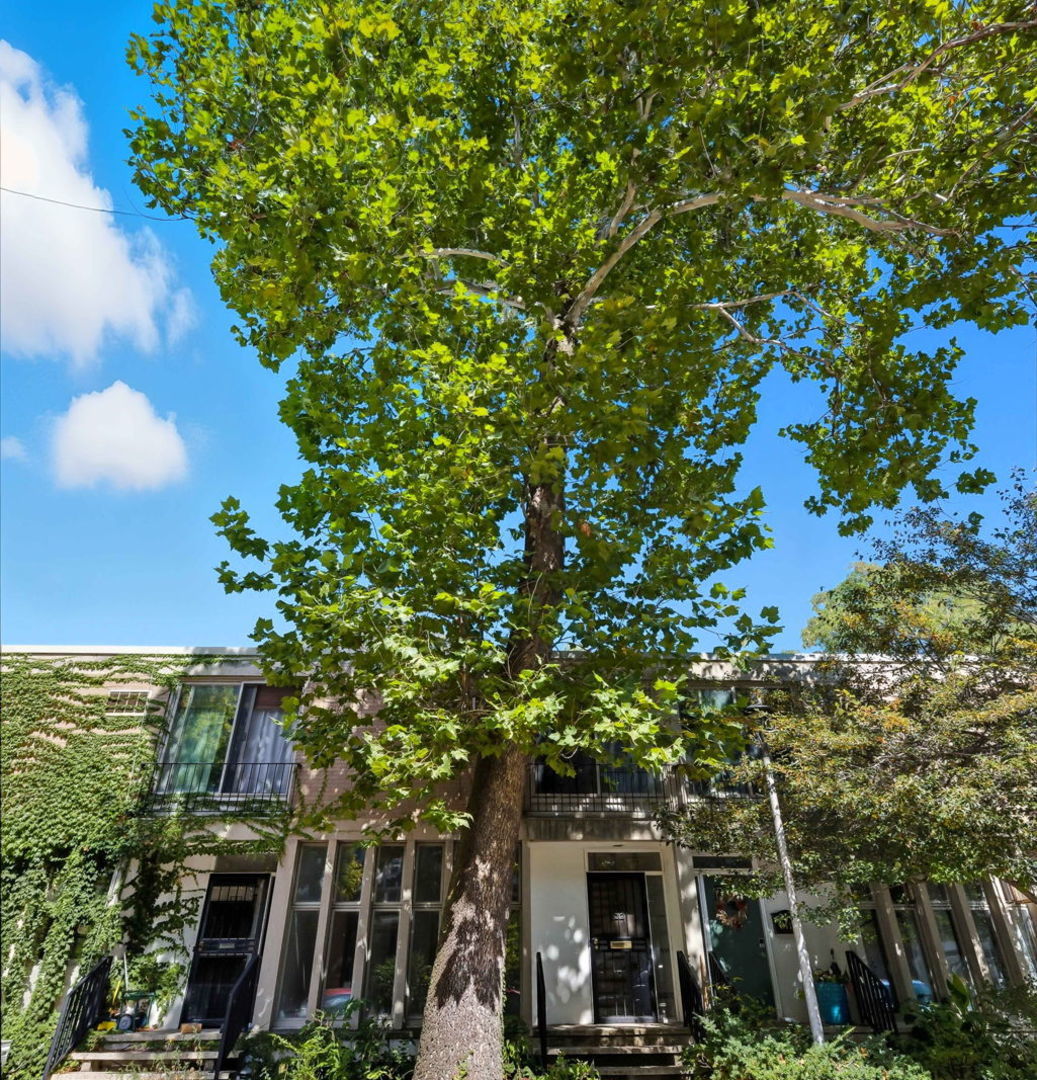 1412 East Rochdale Place Chicago, IL 60615 - Photo 2 of 21 a view of a multi story building