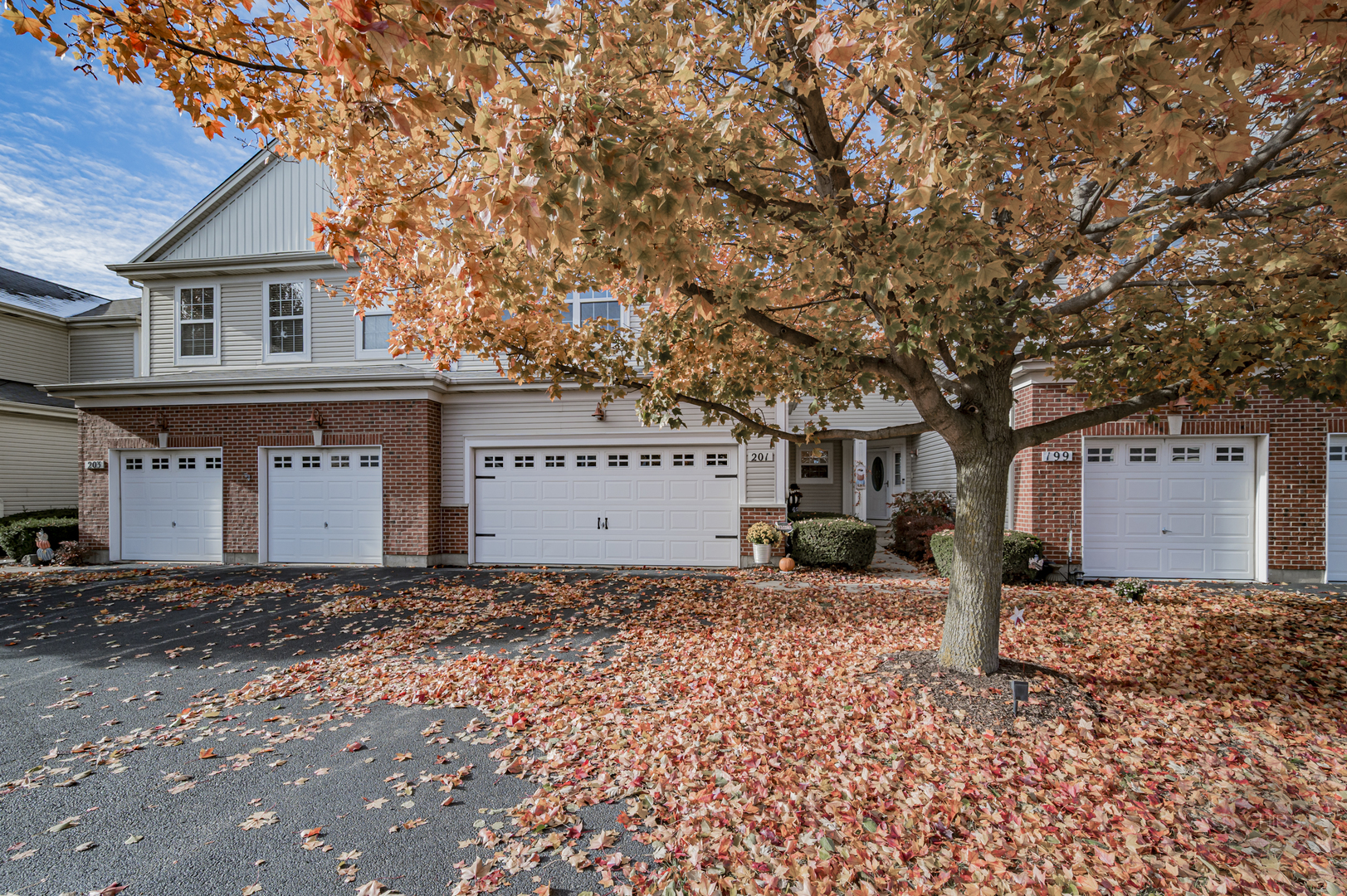 201 Dorset Avenue, Unit 201 Oswego, IL 60543 - Photo 2 of 41 a front view of a house with a yard