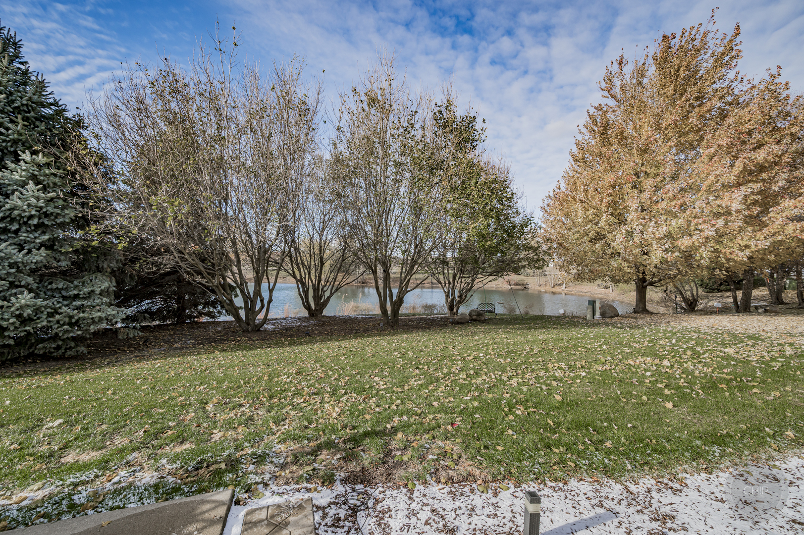 201 Dorset Avenue, Unit 201 Oswego, IL 60543 - Photo 40 of 41 a backyard of a house with lots of green space