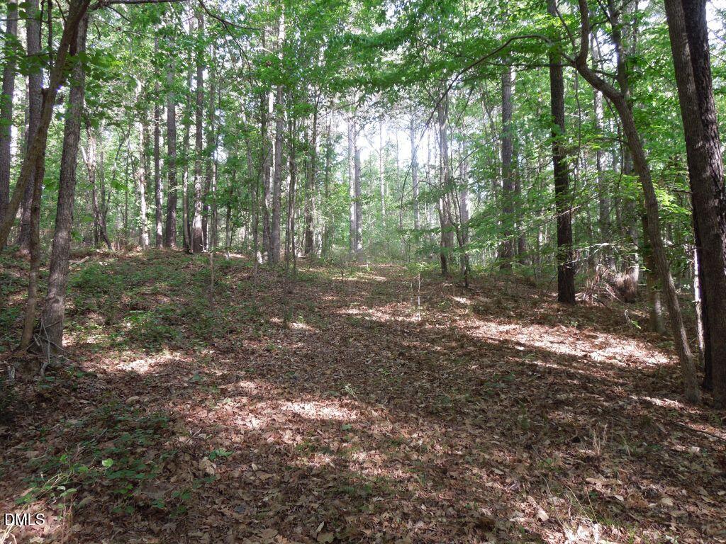 0 Glebe Road Henderson, NC 27537 - Photo 15 of 34 DSCN0487