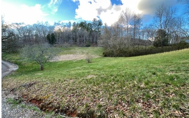 203 Harmony Road Murphy, NC 28906 - Photo 4 of 4 Additional View