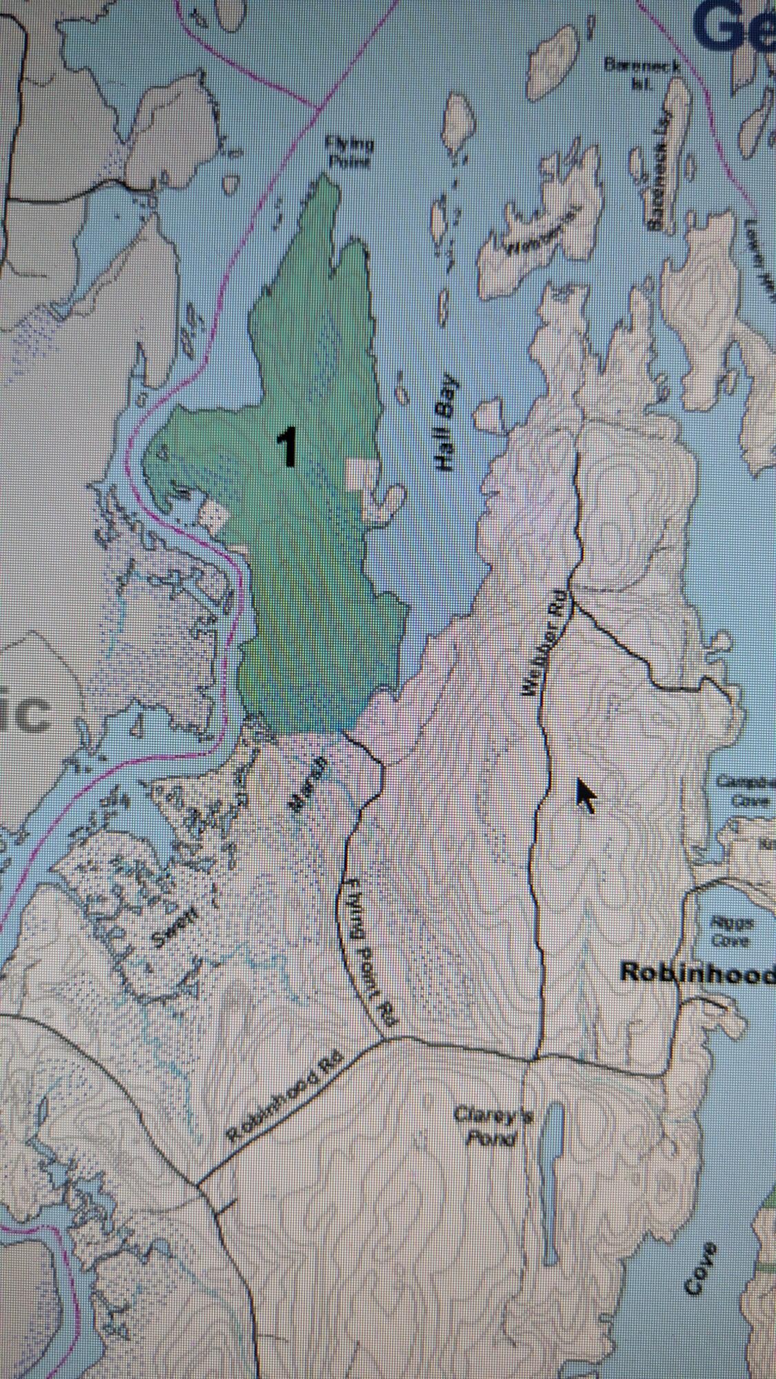 43 Flying Point Road Georgetown, ME 04548 - Photo 6 of 64 PXL_20260520_171940560 (1)