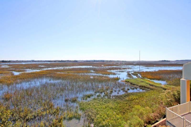 2107 Tides End Road Charleston, SC 29412 - Photo 25 of 30 Incredible View