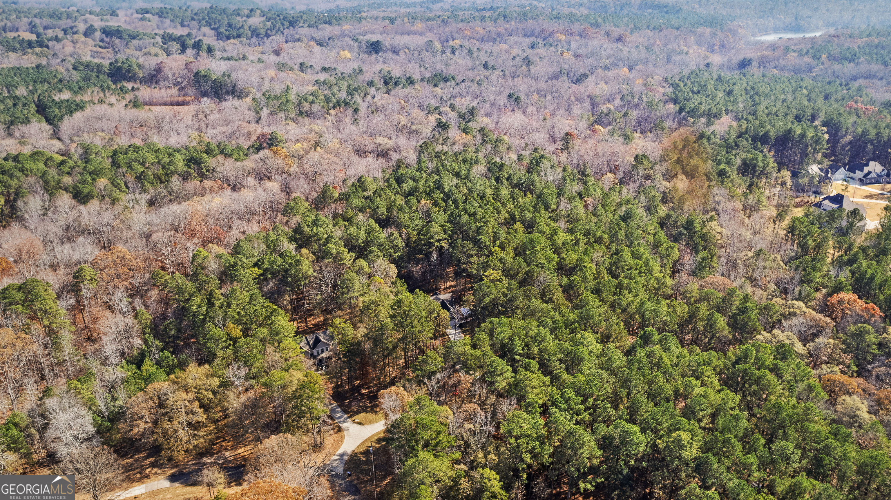 75 Homer Johnson Road Newnan, GA 30265 - Photo 4 of 51 a view of a forest