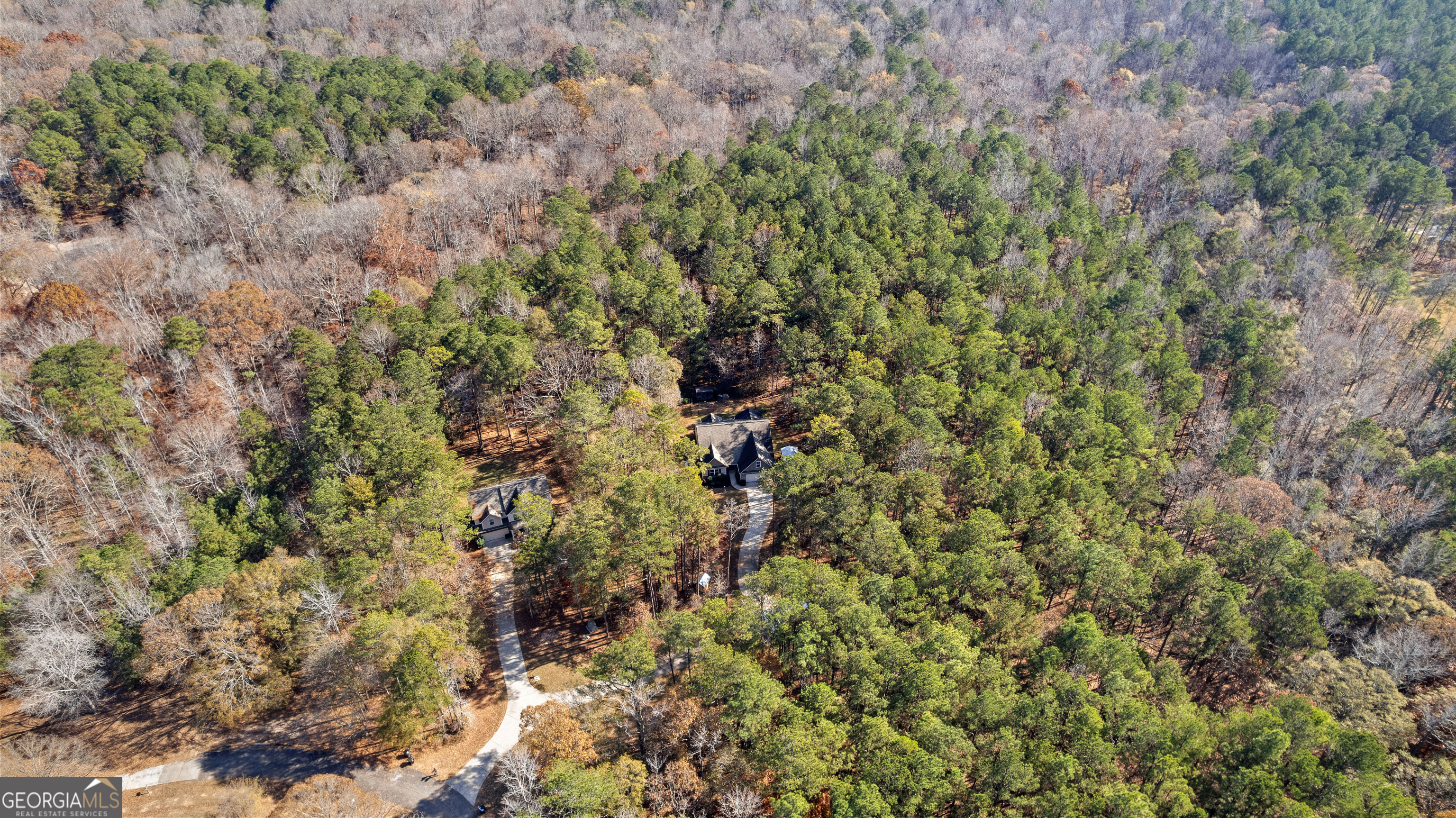 75 Homer Johnson Road Newnan, GA 30265 - Photo 42 of 51 a view of a lush green forest