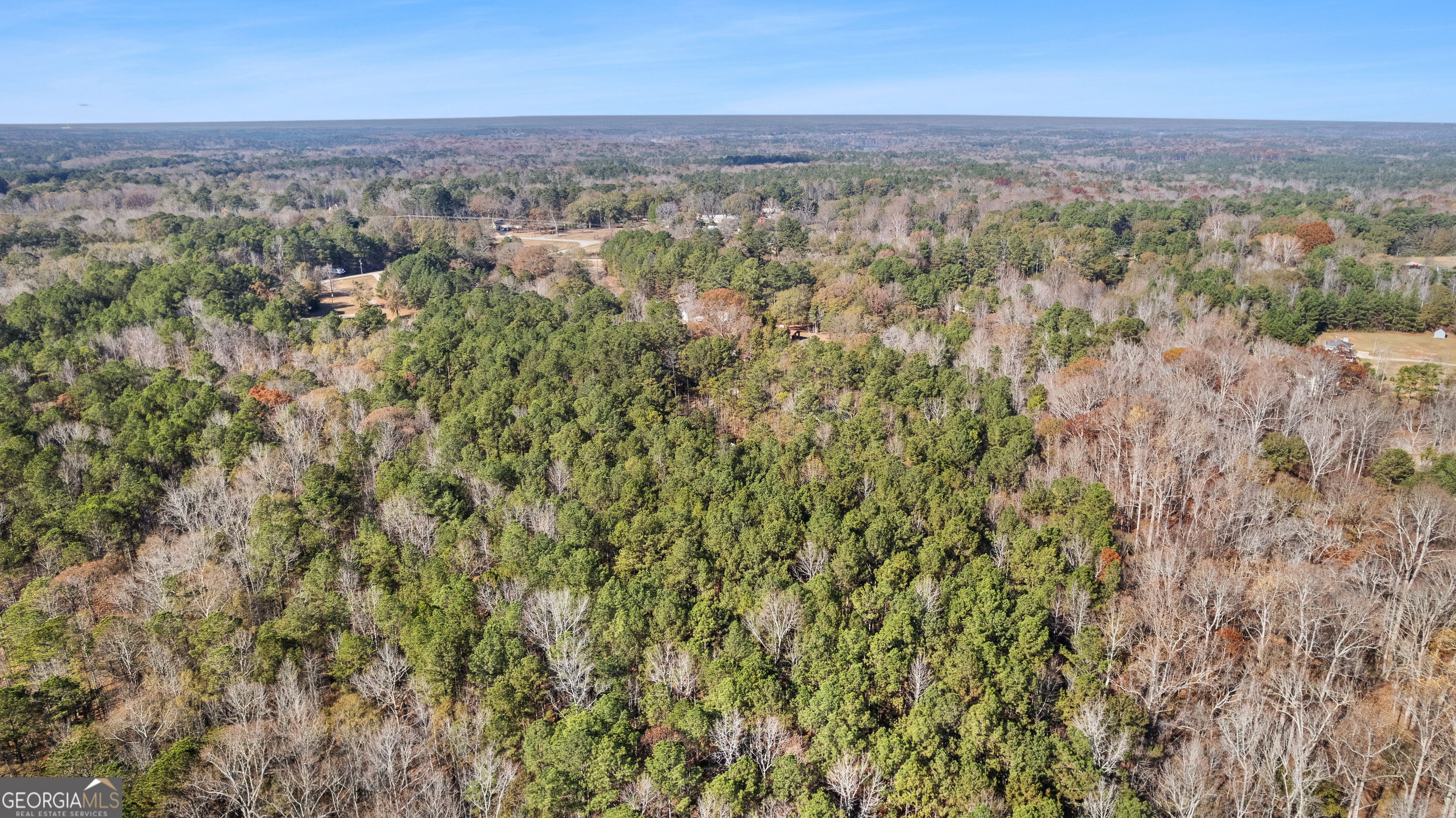 75 Homer Johnson Road Newnan, GA 30265 - Photo 49 of 51 an aerial view of residential houses with outdoor space and trees