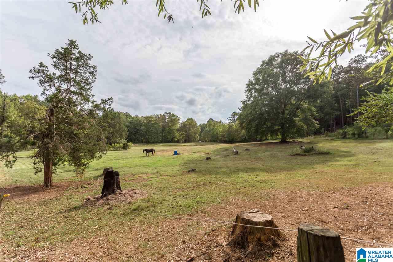 975 Refuge Road Ragland, AL 35131 - Photo 31 of 42