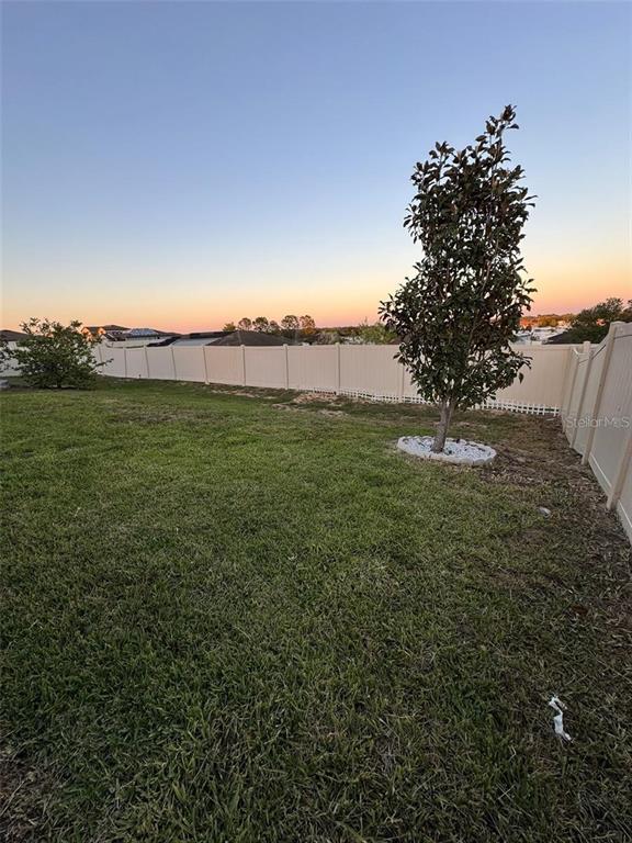 748 Citrus Isle Drive Davenport, FL 33837 - Photo 29 of 30