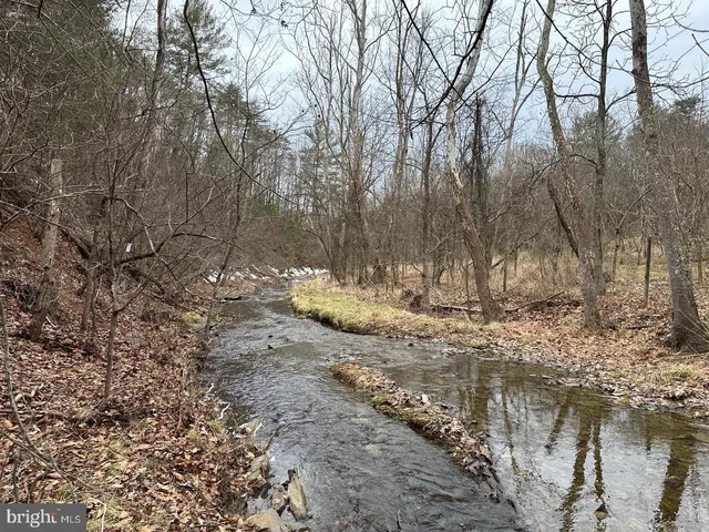 a view of a wooden floor with a tree