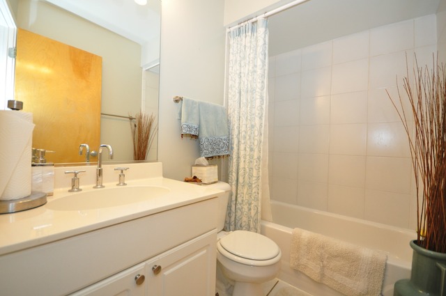 1812 South State Street, Unit 9 Chicago, IL 60616 - Photo 13 of 15 a bathroom with a sink toilet and shower