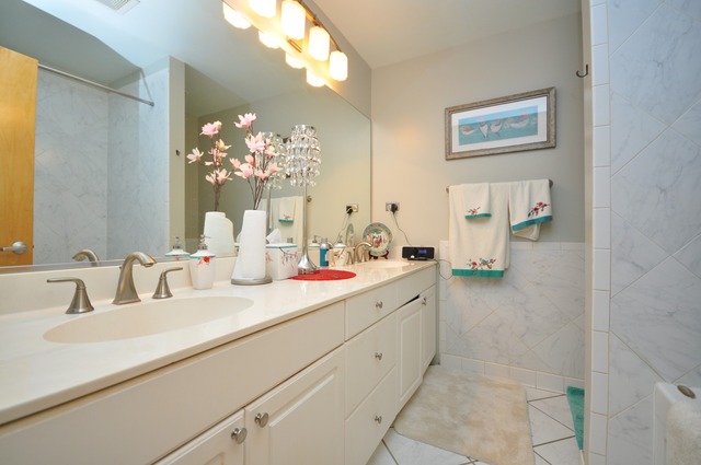 1812 South State Street, Unit 9 Chicago, IL 60616 - Photo 14 of 15 a bathroom with a sink double vanity and a mirror