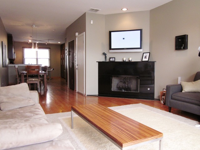 1812 South State Street, Unit 9 Chicago, IL 60616 - Photo 5 of 15 a living room with furniture a flat screen tv and a fireplace