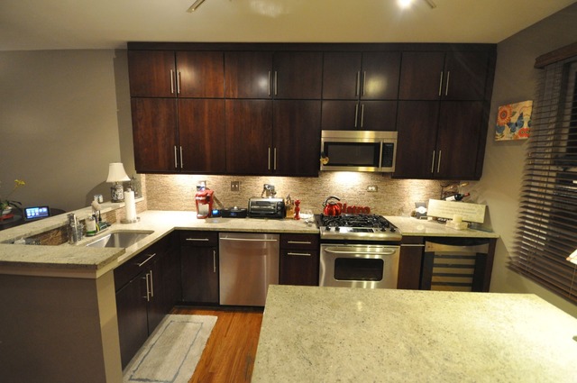 1812 South State Street, Unit 9 Chicago, IL 60616 - Photo 8 of 15 a kitchen with a sink and cabinets
