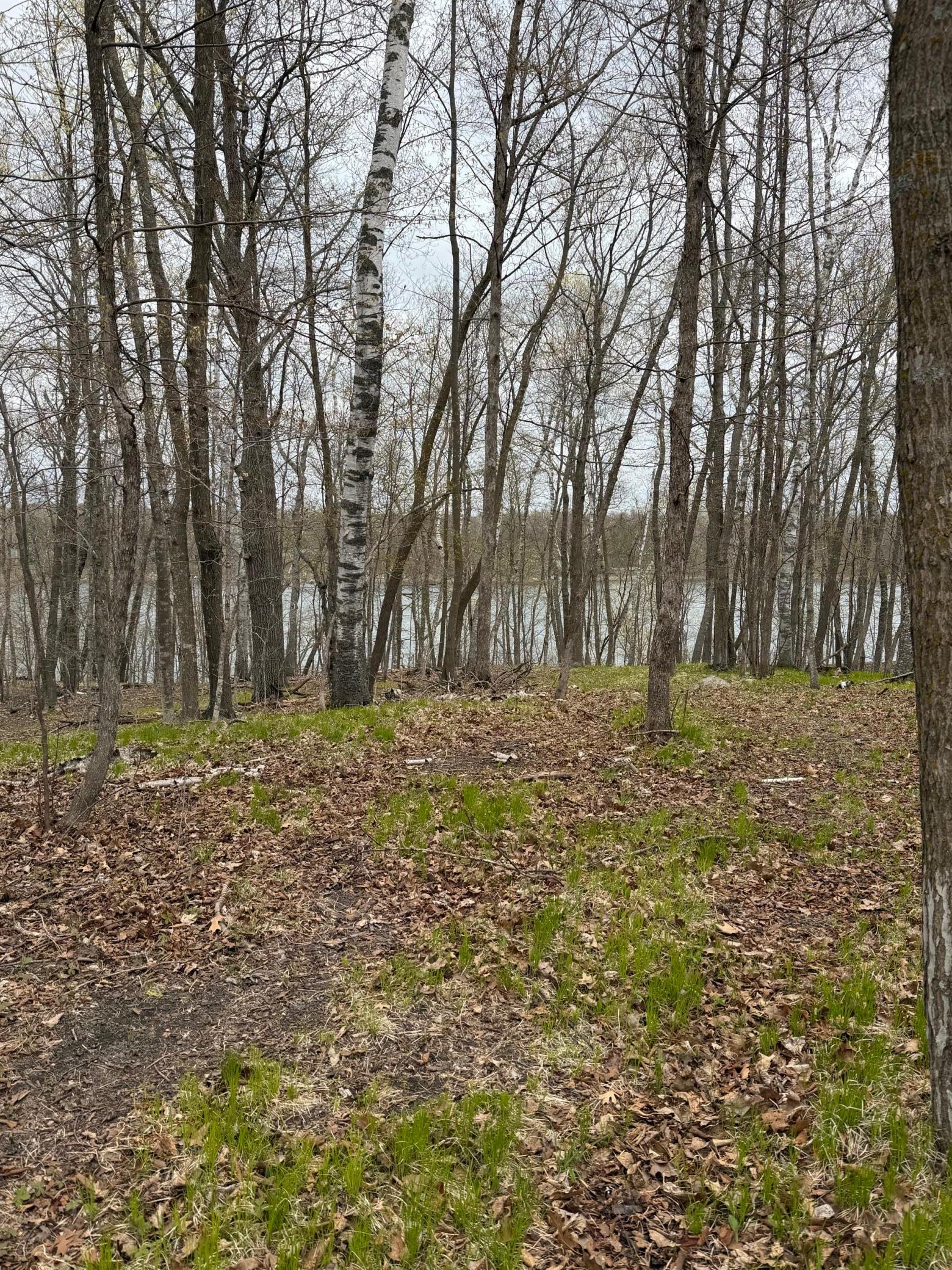 Lot 7 Southwest Pickerel Lake Road Detroit Lakes, MN 56501 - Photo 3 of 11