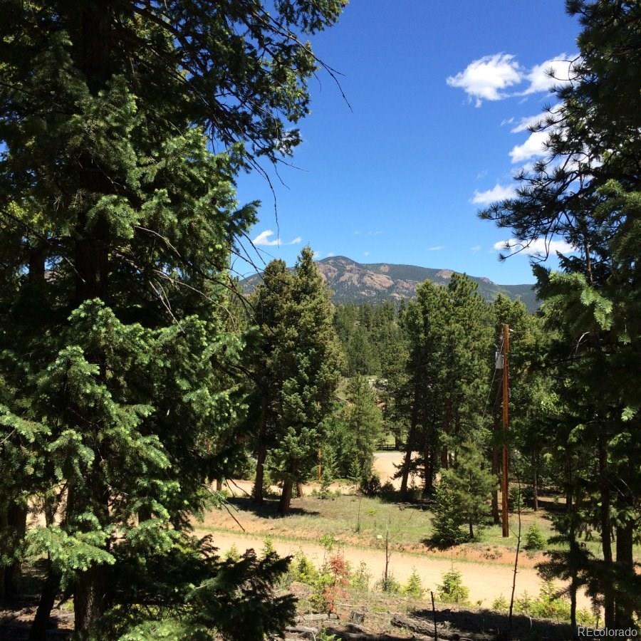 175 Forest Ridge Road Pine, CO 80470 - Photo 11 of 23 Gallery Image 11