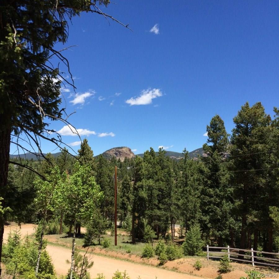 175 Forest Ridge Road Pine, CO 80470 - Photo 12 of 23 Gallery Image 12
