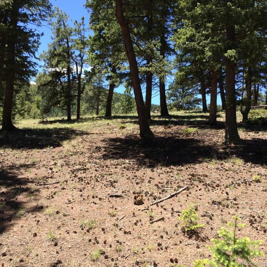 175 Forest Ridge Road Pine, CO 80470 - Photo 13 of 23 Gallery Image 13