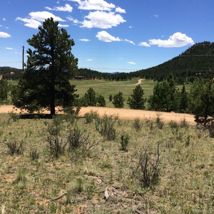 175 Forest Ridge Road Pine, CO 80470 - Photo 14 of 23 Gallery Image 14