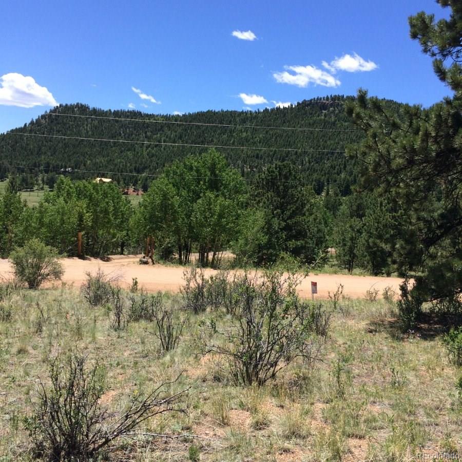 175 Forest Ridge Road Pine, CO 80470 - Photo 15 of 23 Gallery Image 15