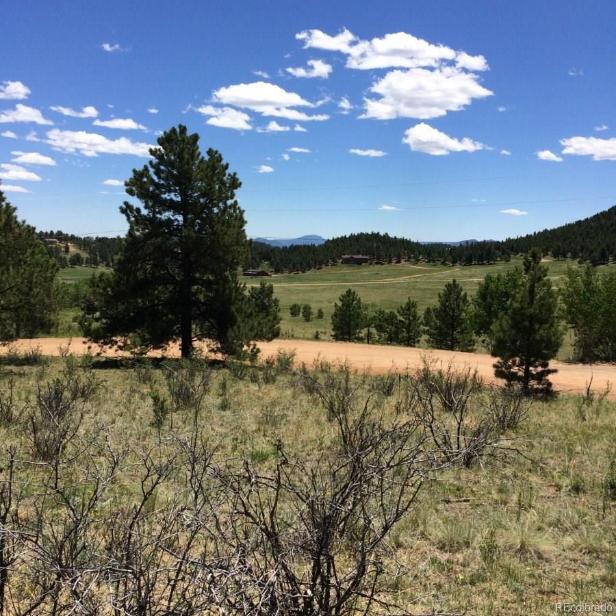 175 Forest Ridge Road Pine, CO 80470 - Photo 16 of 23 Gallery Image 16