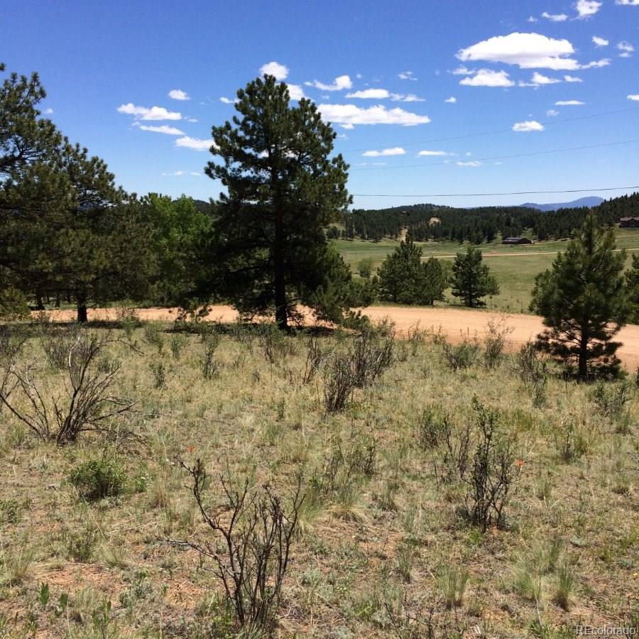 175 Forest Ridge Road Pine, CO 80470 - Photo 17 of 23 Gallery Image 17