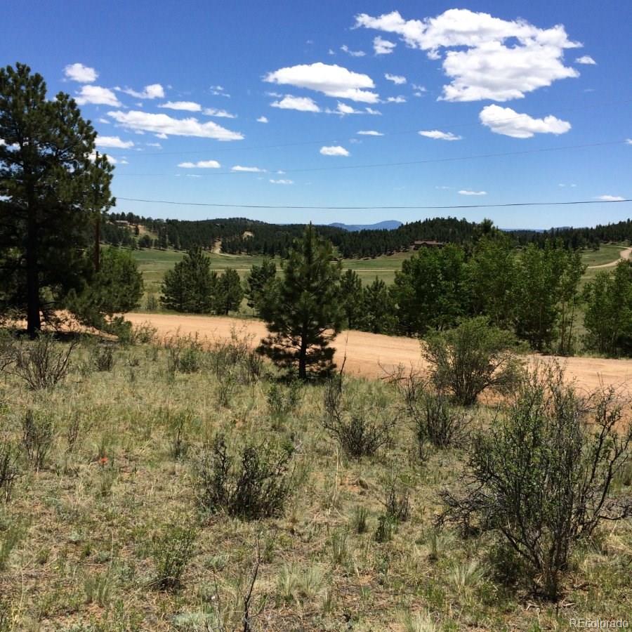 175 Forest Ridge Road Pine, CO 80470 - Photo 19 of 23 Gallery Image 19