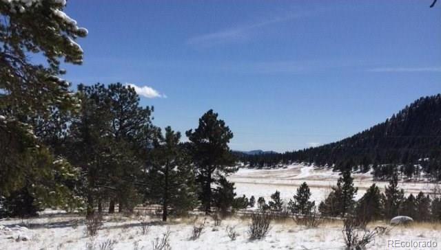 175 Forest Ridge Road Pine, CO 80470 - Photo 20 of 23 Gallery Image 20