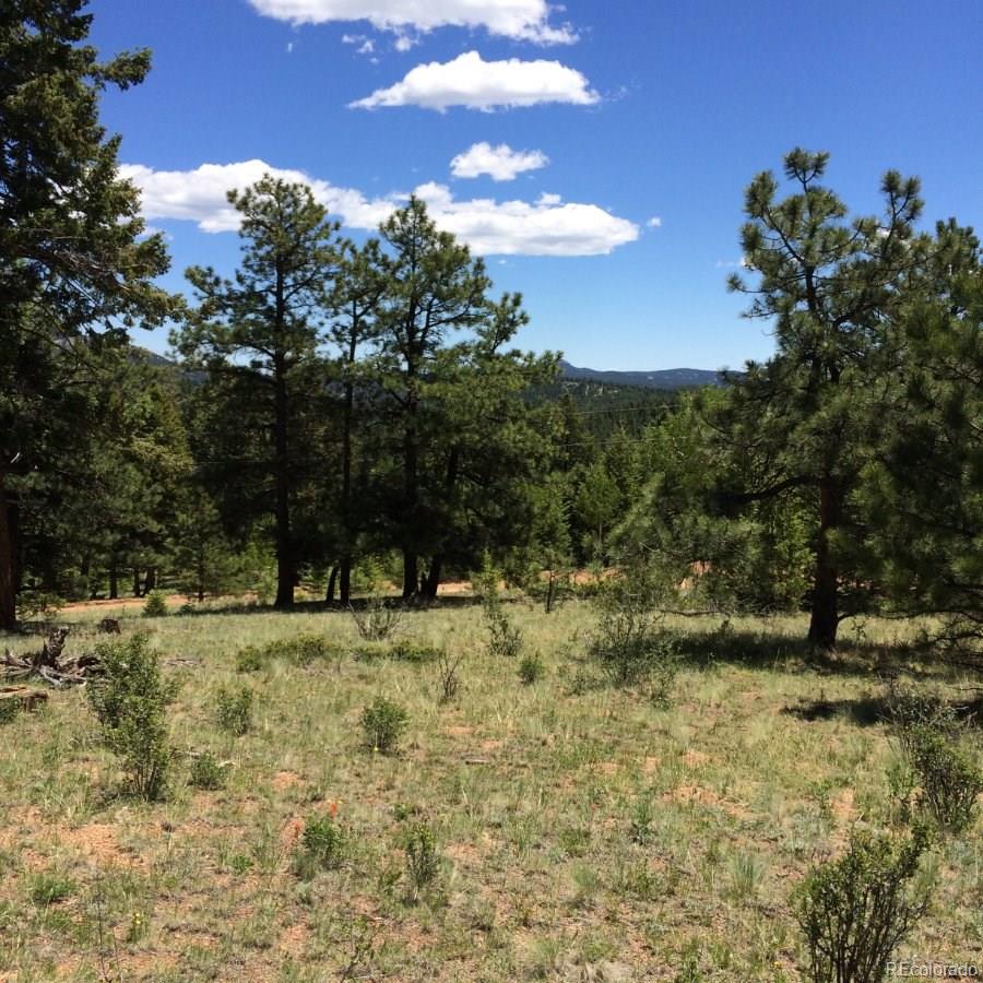 175 Forest Ridge Road Pine, CO 80470 - Photo 8 of 23 Gallery Image 8