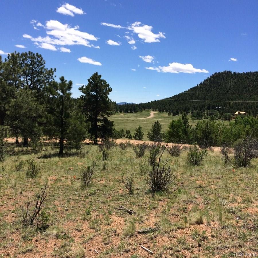 175 Forest Ridge Road Pine, CO 80470 - Photo 9 of 23 Gallery Image 9