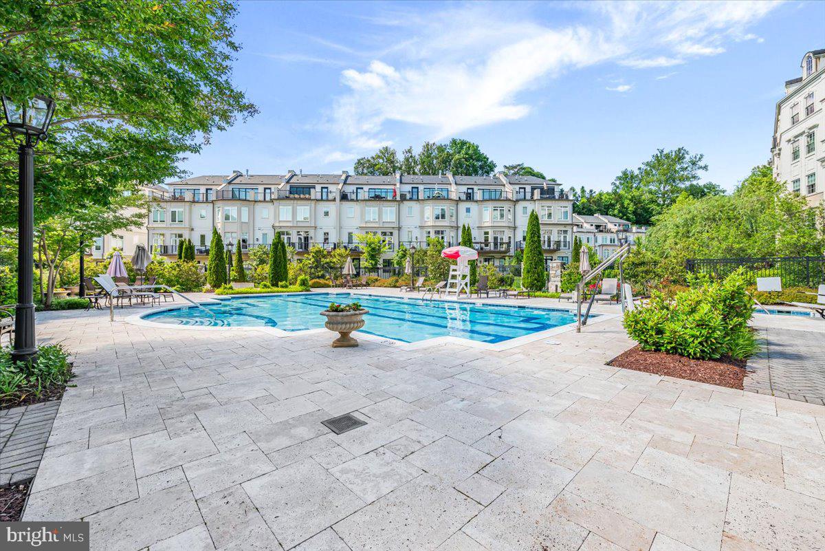 8111 River Road, Unit 131 Bethesda, MD 20817 - Photo 48 of 59 Pool with lifeguard
