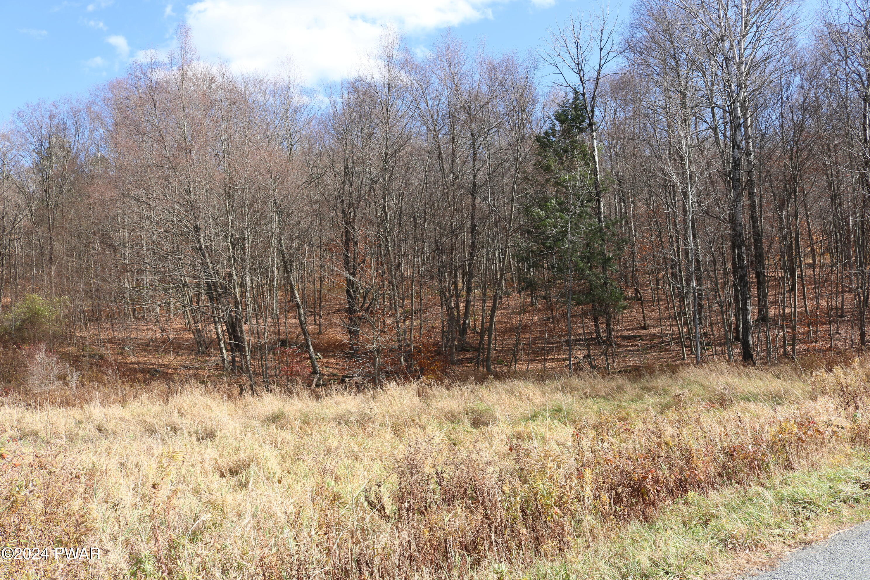 0 Rose Hill Road Lake Como, PA 18437 - Photo 5 of 10
