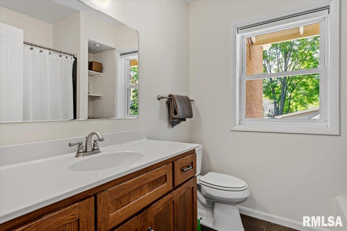 1032 West Vine Street Springfield, IL 62704 - Photo 28 of 60