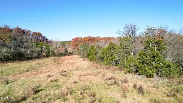 $135,000 | Lot 33 Sinking Springs Road, Unit 33, Midway, TN 37809