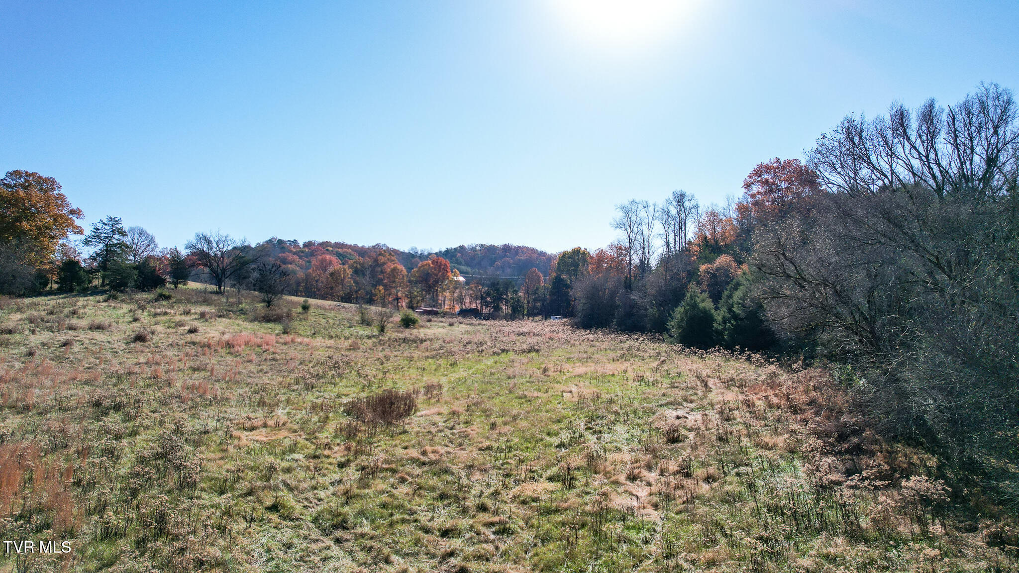 Lot 33 Sinking Springs Road, Unit 33 Midway, TN 37809 - Photo 8 of 31 Lot 33 #3